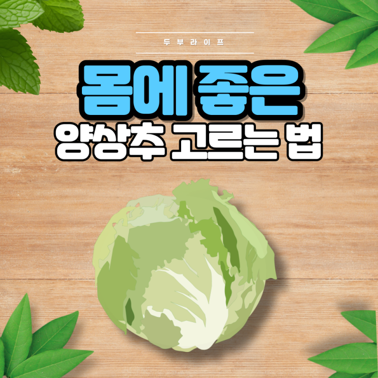  몸에 좋은 양상추 고르는 법(종류, 용도, 효능, 부작용, 세척방법, 보관방법)
