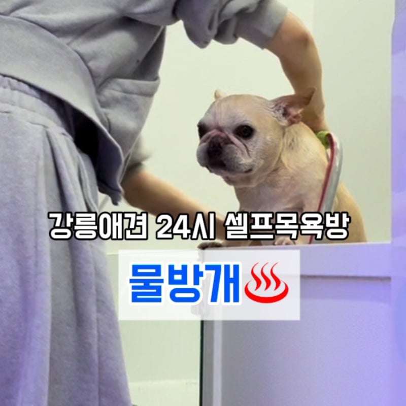 사진 3