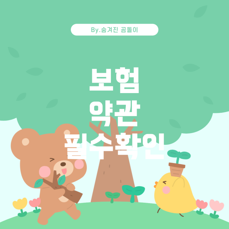  보험 가입 전 고려해야 할 제약사항 및 불이익