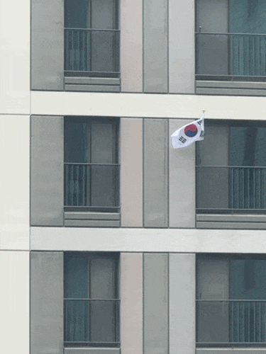  삼일절ㅣ신혼집에서 처음으로 게양한 태극기