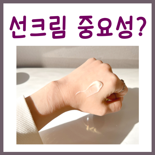  선크림 중요성, 매일같이 바를 수밖에 없는 이유