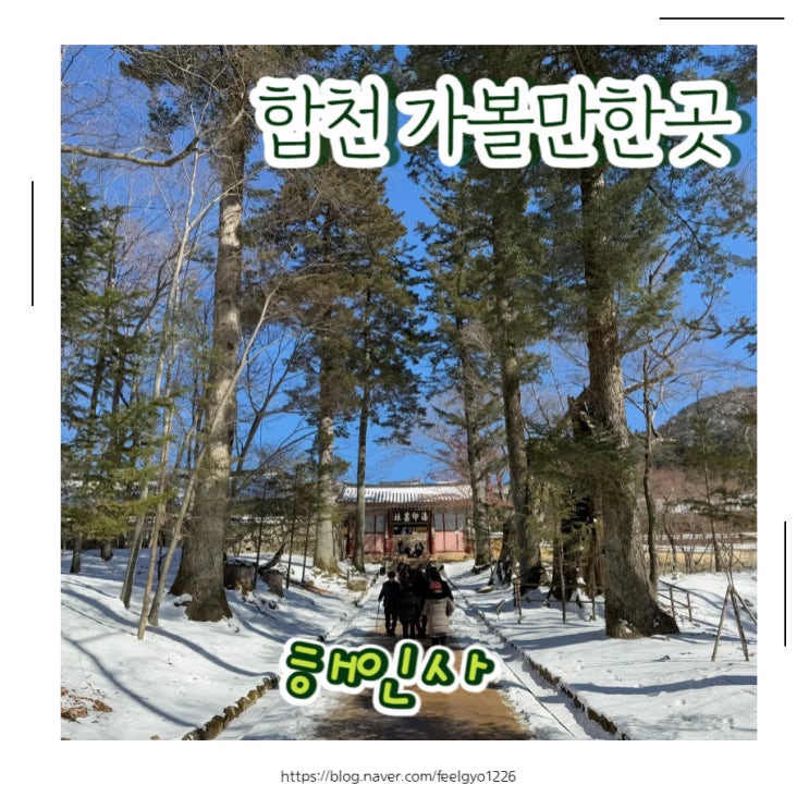 대구근교 합천 가볼만한곳 아기랑 해인사가는 꿀팁