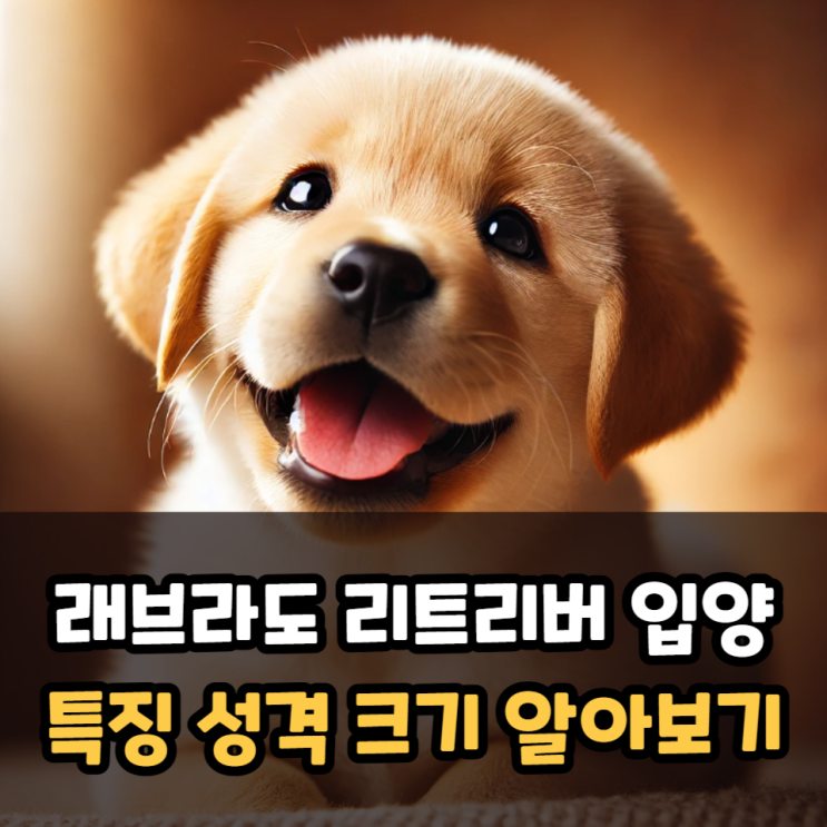  래브라도 리트리버 입양 전 특징 성격 크기 알아보기