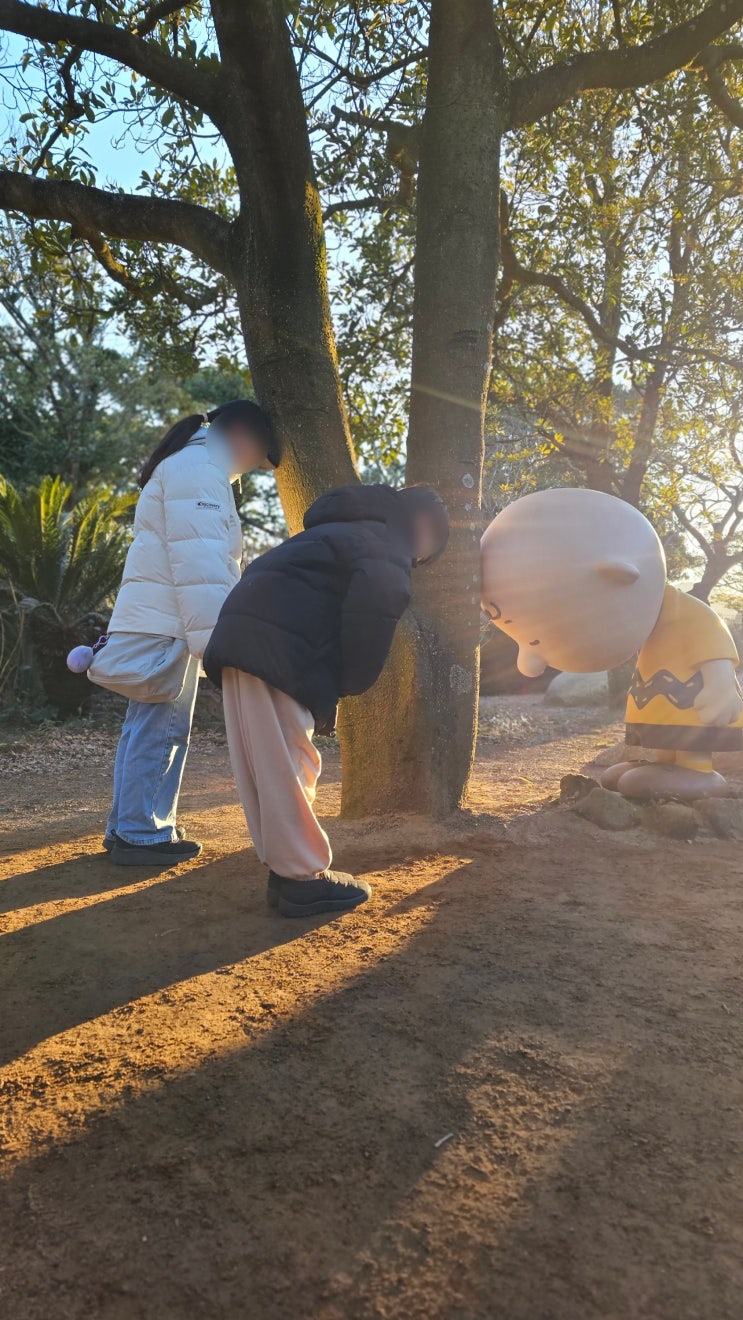 내돈여행 : 2박 3일 제주도여행 25년 02월 제주도 자유여행 1일차(렌트카-올래국수-도토리숲-스누피가든-전복마시문어마시-플레이스캠프제주)