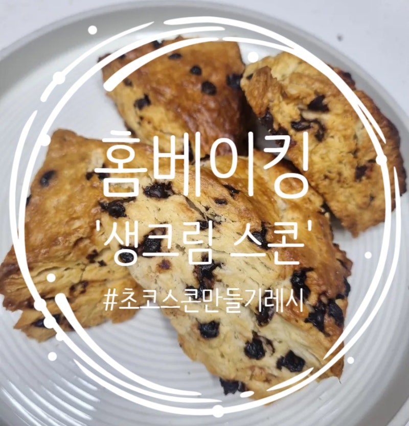 겉바속촉 고급스러운 맛 생크림 초코 스콘 만들기 중력분 생크림 스콘 레시피 우유스콘