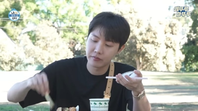 나혼자 산다 출연한 방탄소년단 제이홉의 루이비통 가방