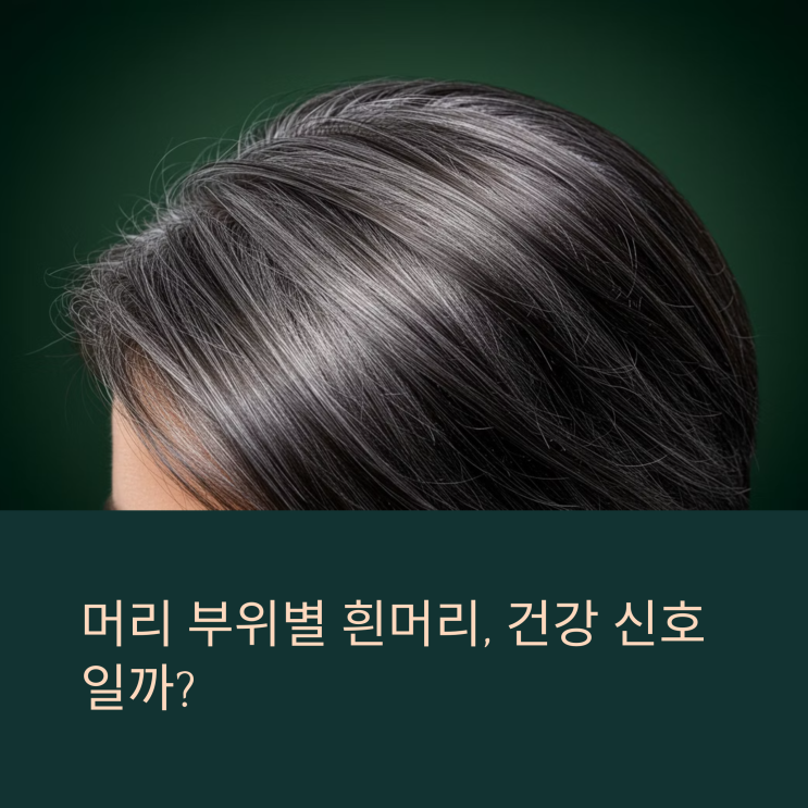  머리 부위별 흰머리, 건강 신호일까? 원인 총정리!