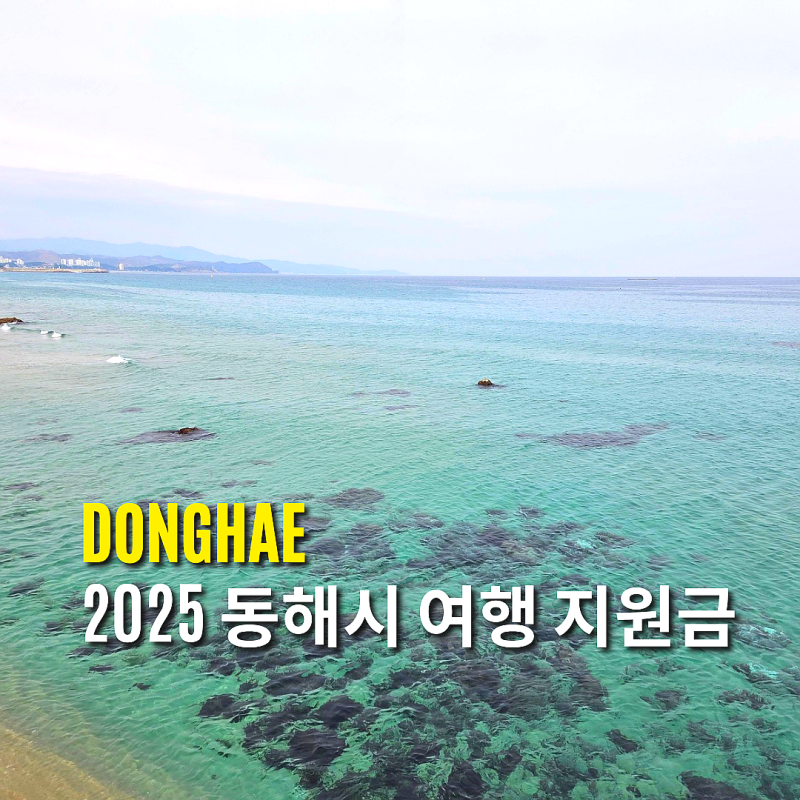 2025 동해시 여행 지원금 별빛동해기행 최대 10인까지