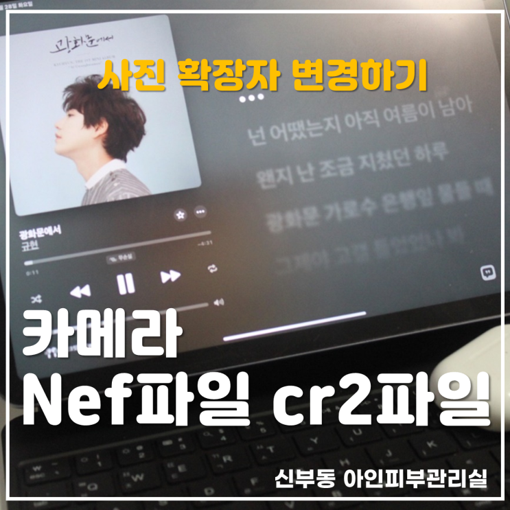  니콘과 캐논 nef cr2 확장자 jpg로 변환하기