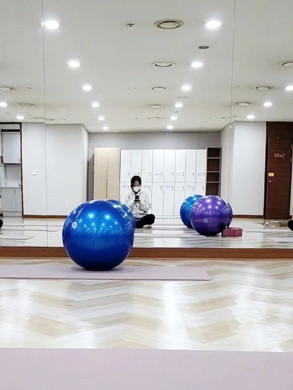 짐볼 65 막달 임산부 운동용으로 구입해본 후기
