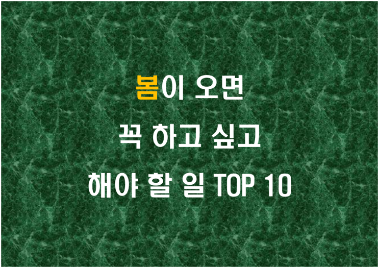  봄이 오면 꼭 하고 싶고 해야 할 일 TOP 10