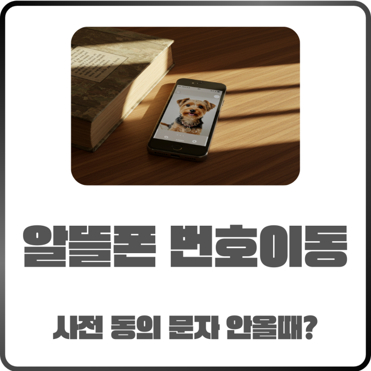  알뜰폰 번호이동 사전동의 문자 안 올 때? 오류 해결하는 법