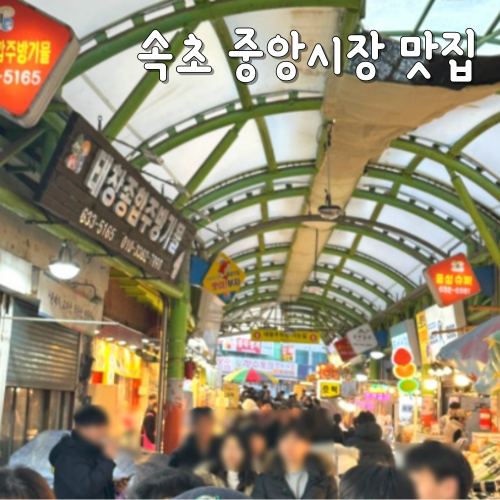  속초중앙시장 맛집 내돈내산 솔직 후기 리스트