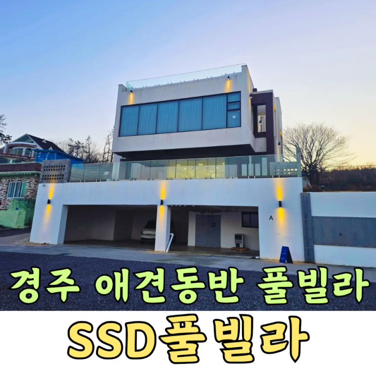 경주 풀빌라 오션뷰 애견동반 럭셔리숙소 추천 SSD풀빌라