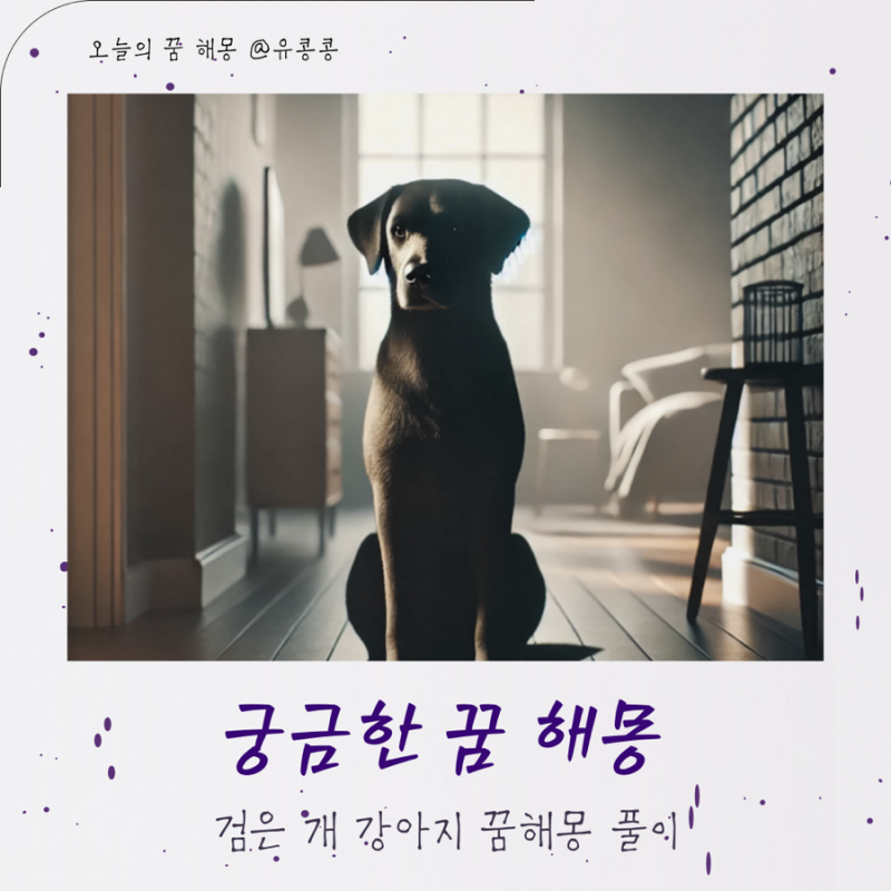 검은 개꿈해몽 강아지 보는꿈 풀이 의미
