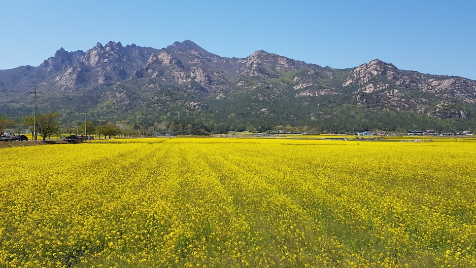 바람골 사진 3