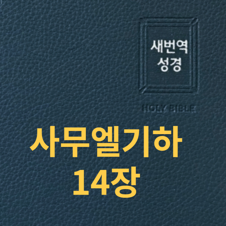 사무엘기하 14장 사무엘기하 14장