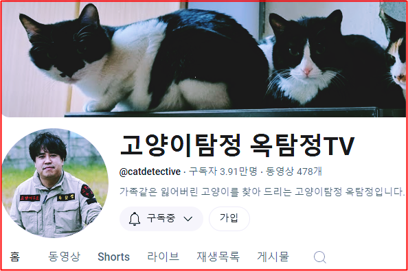  고양이탐정 옥탐정ㅣ고양이 구조 포획 전문가ㅣ고양이 찾아주는 사람