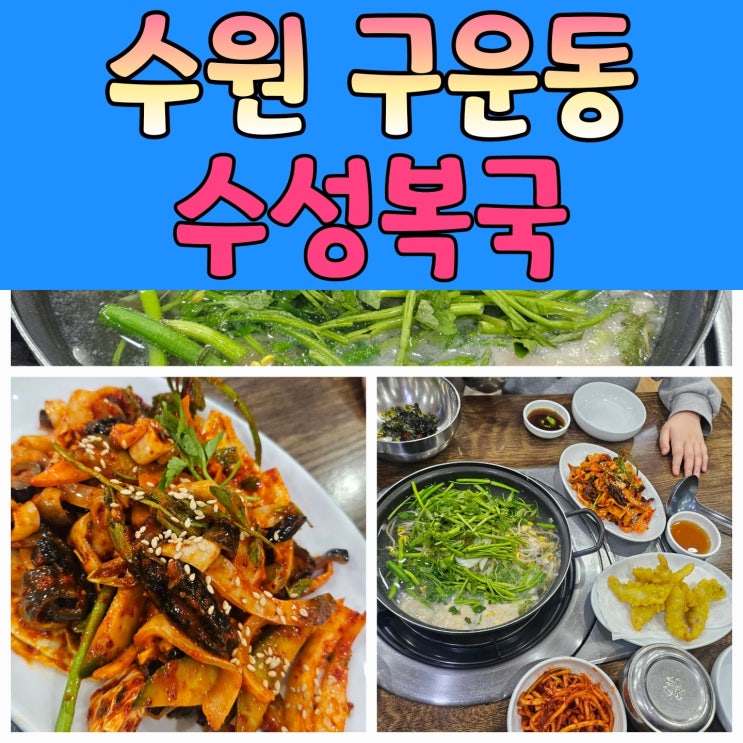  가족모임 하기 좋은 수원복어 맛집 [수성복국]