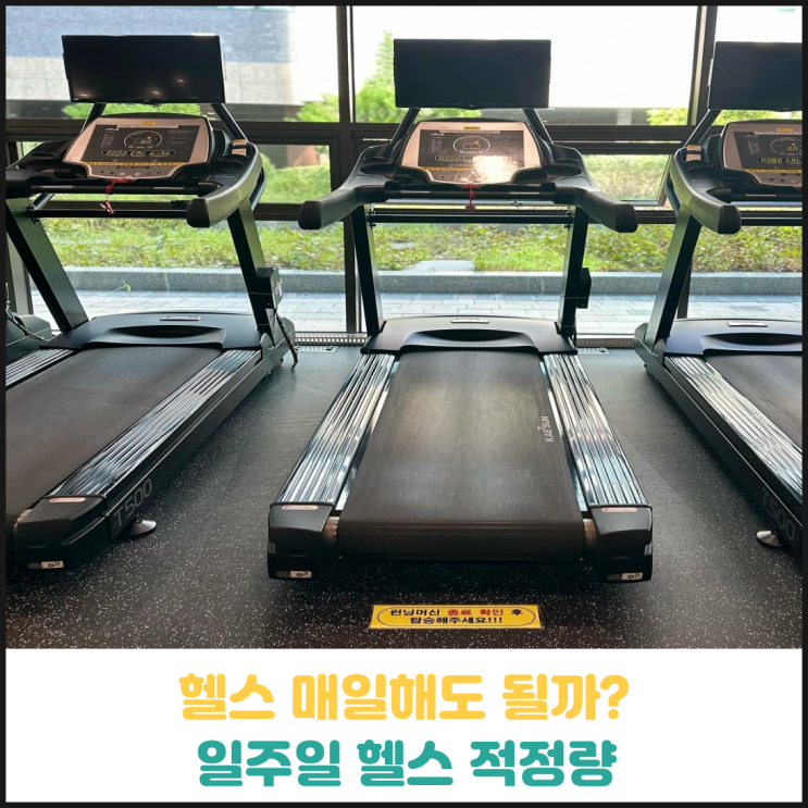 헬스 매일 해도 괜찮을까? 헬스 매일 해도 괜찮을까?