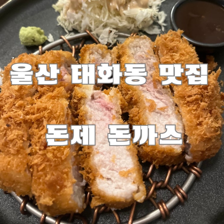  울산 태화동 맛집 : 돈제 돈까스(애견동반가능한 울산 돈까스 맛집)