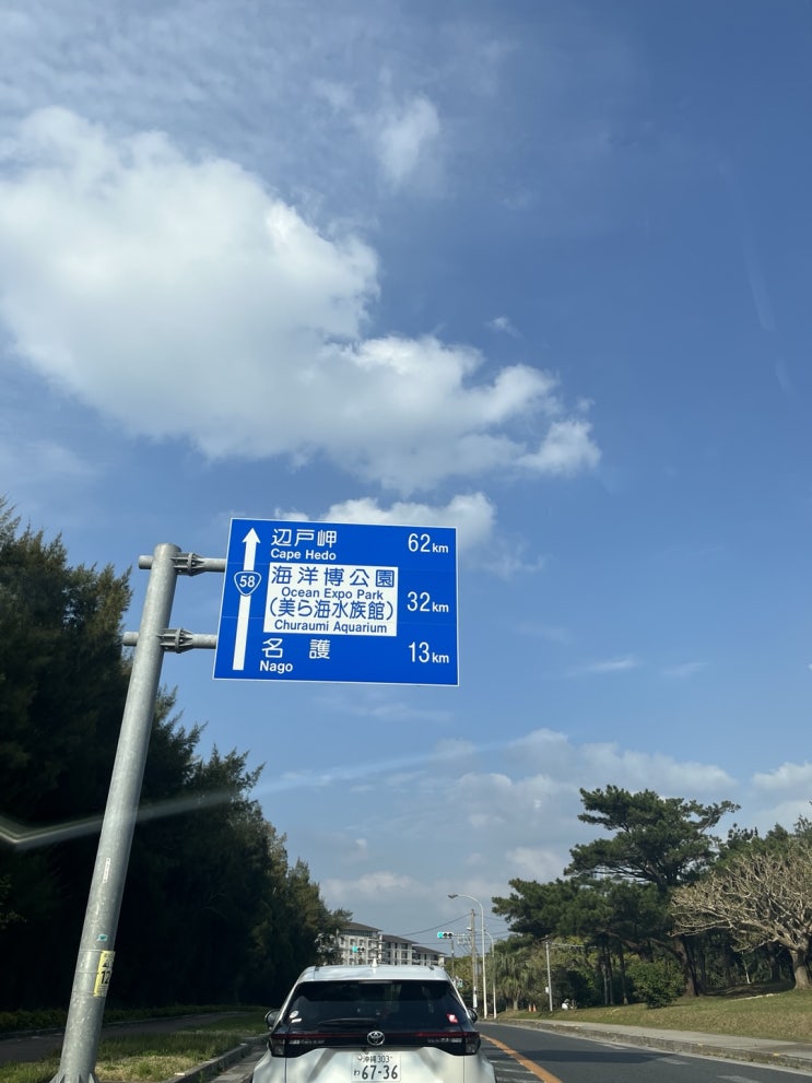  나의 길잡이는 누구인가??