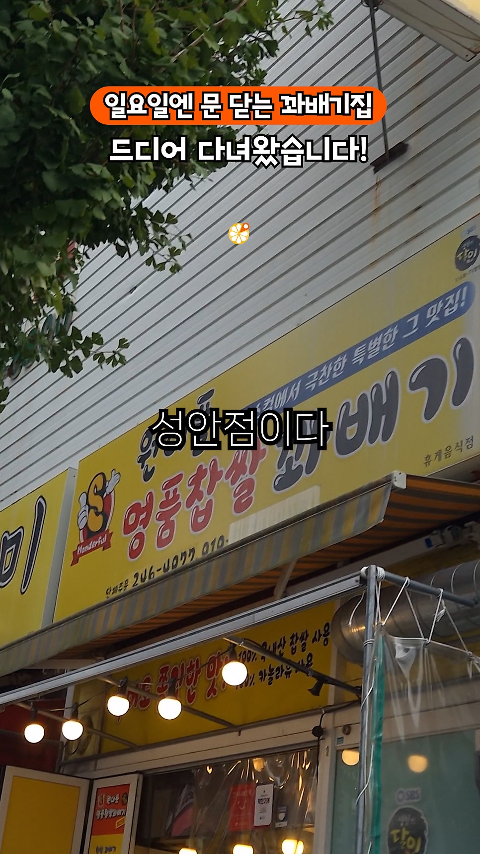 원더풀명품찹쌀꽈배기 성안점 사진 2