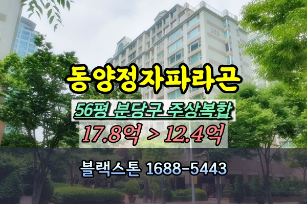  동양정자파라곤 경매 56평 분당구 주상복합아파트 [2024타경58536]