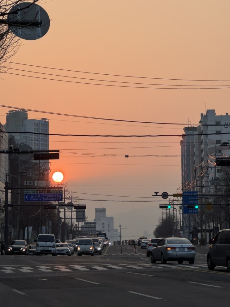  2월 넷째주 냐암의 일상 몰아보기