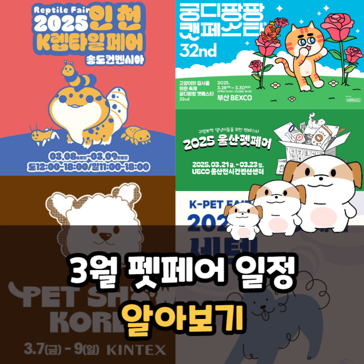  3월 펫페어 일정 펫쇼코리아, 케이펫페어, 울산펫페어, 궁디팡팡 캣페스타 등