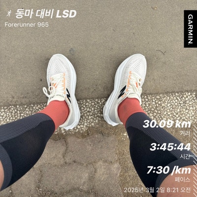  20250302 - 동마 대비 30km LSD