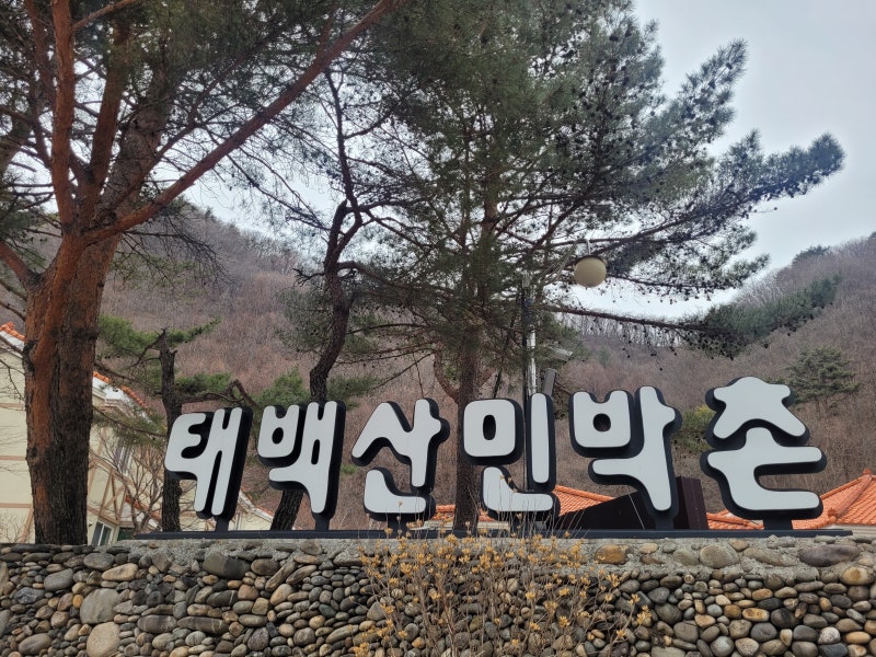 태백산 민박촌/ 하늘 전망대