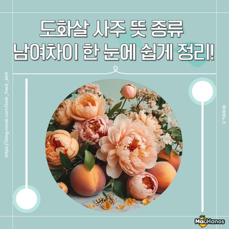  도화살 사주 뜻 종류 2개 3개 있을때 남여차이 한 눈에 쉽게 총정리!
