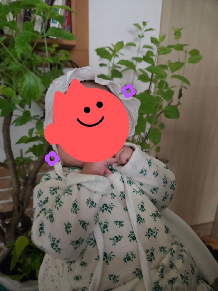  [육아일기] 한국에서의 일주일, 14주차
