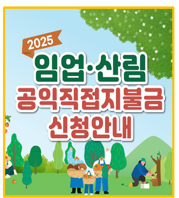  임업 산림 공익직접직불금 임업직불금 지급 대상부터 신청 절차까지 한눈에 정리