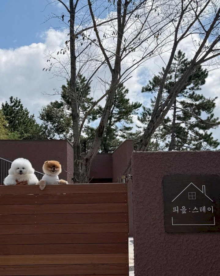 사진 4
