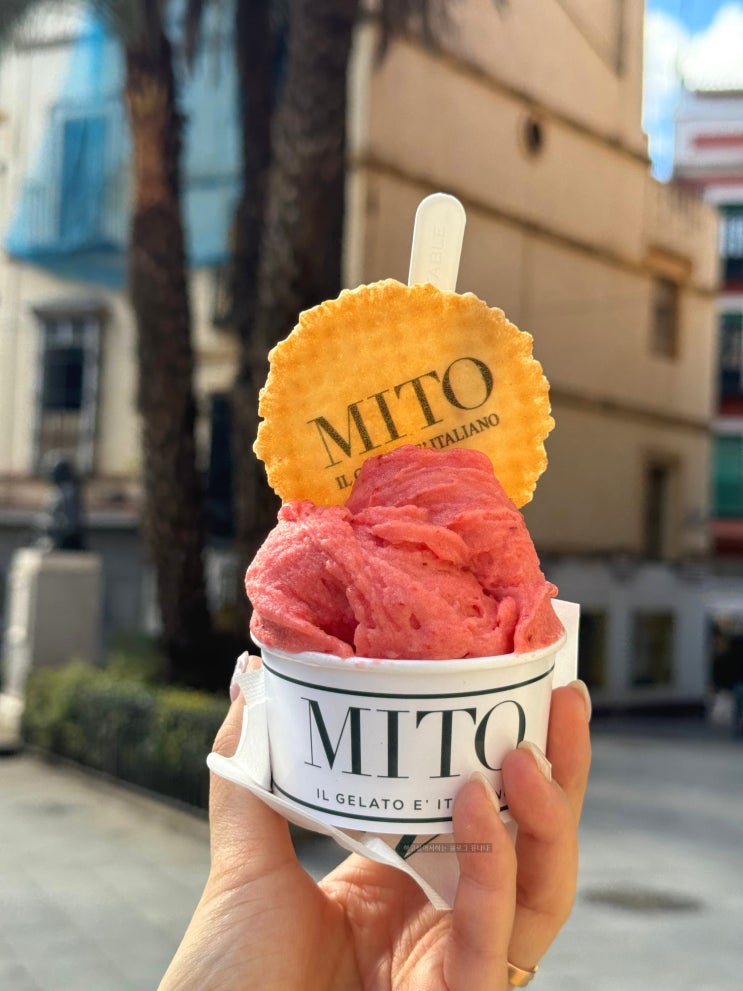  스페인 여행 세비야 젤라또 맛집 대성당 근처 MITO 후식으로 최고