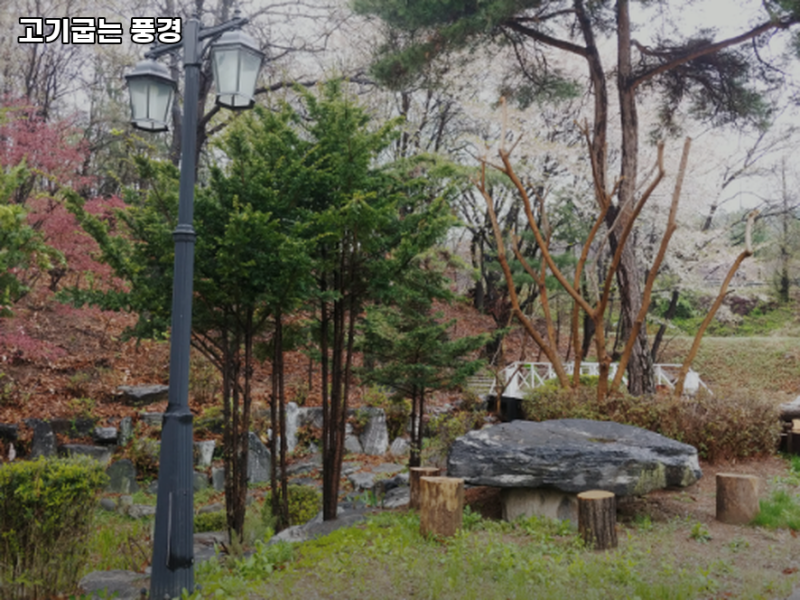 사진 3