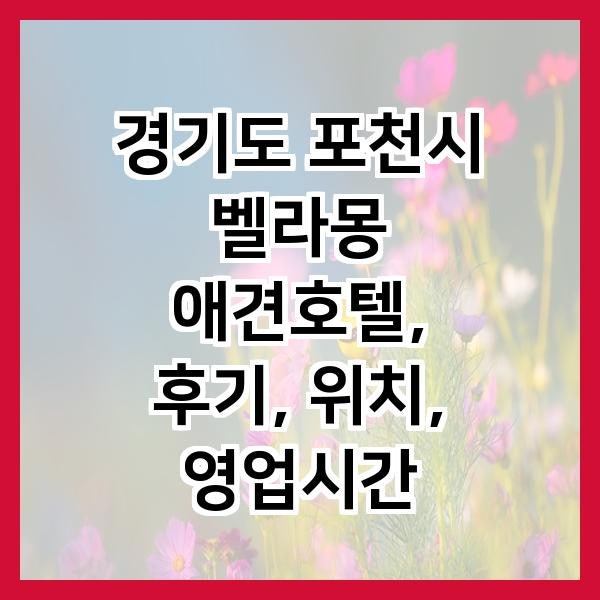 현리동물병원 사진 3