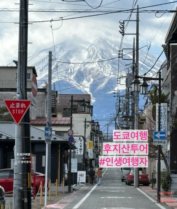 [후지산 투어] 후지산투어 아라쿠라야먀센겐공원 시모요시다 혼초거리 후지산포토스팟 내돈내산 도쿄여행 3박4일