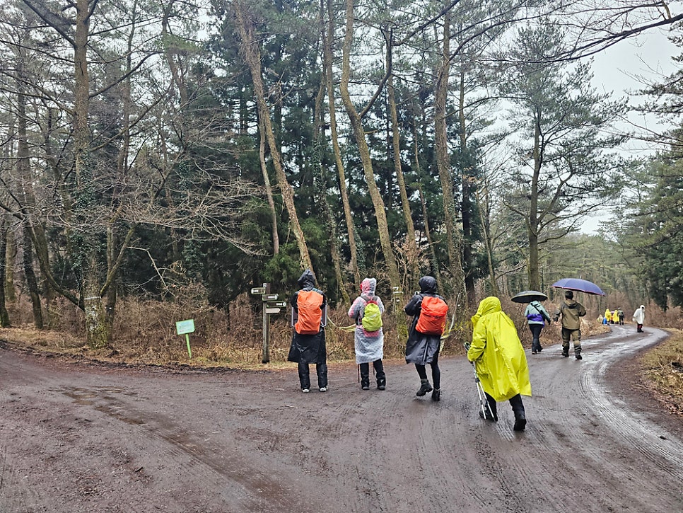 다래오름북동쪽 사진 5