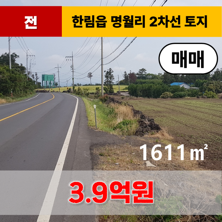  《제주도토지》 제주시 한림읍 명월리 토지 매매