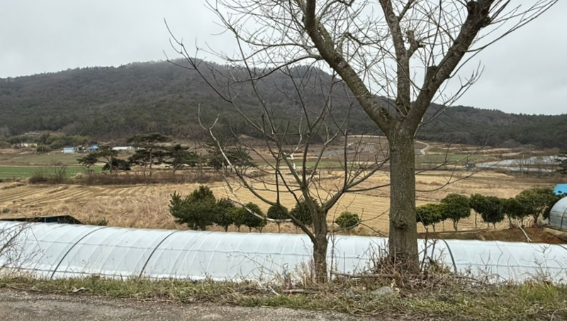 마산제 사진 5