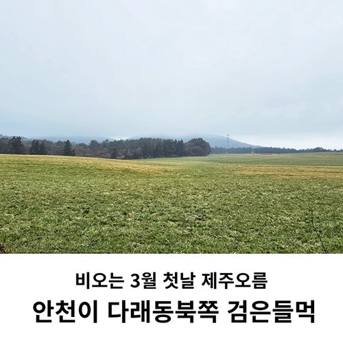 다래오름북동쪽 사진 1