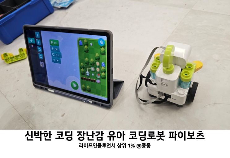  실내 집콕 놀이 5세 6세 7세 유아 코딩 장난감 스마트 코딩 로봇 파이보츠 엄마표 과학놀이