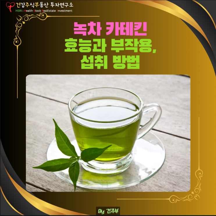  녹차 카테킨 다이어트, 진짜 효과 있을까? 부작용과 섭취법까지!