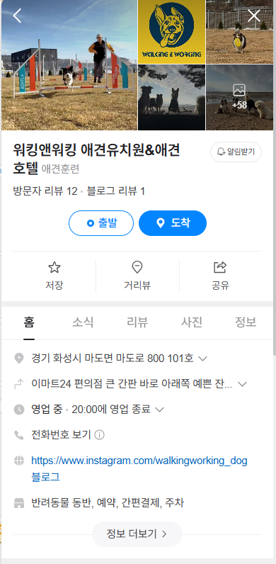 사진 6
