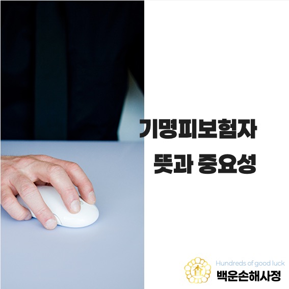  기명피보험자 뜻과 중요성