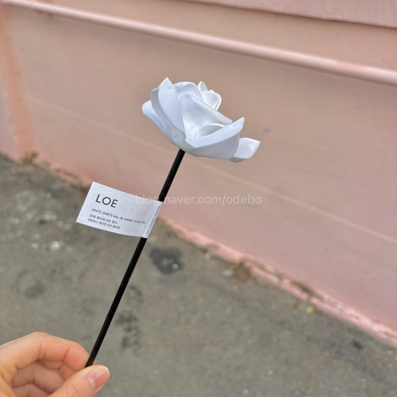 한남동 가볼만한 곳 ‘LOE로에’ 가성비 좋은 데일리 향수 추천 선물 무료 각인 화이트셔츠 ....