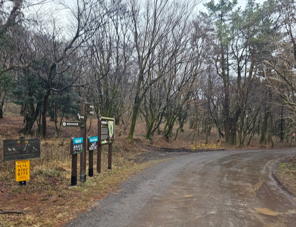 다래오름북동쪽 사진 2